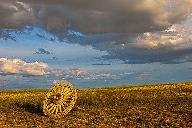 任天堂推出官方Joy-Con手柄充电底座 10月17日发售